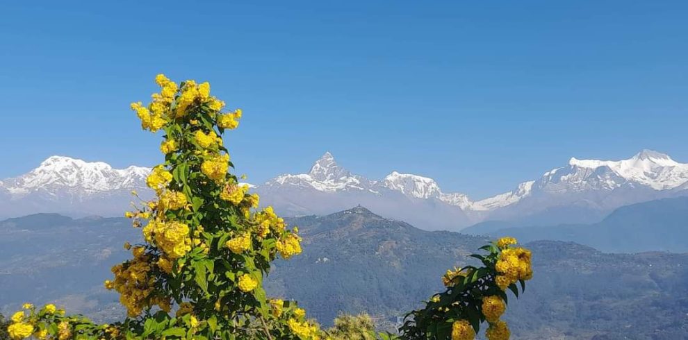 pokhara1